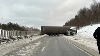 Движение временно ограничили на федеральной трассе в Красноярском крае из-за ДТП с большерузом