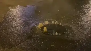 Жители микрорайона Белые Росы в Красноярске жалуются на проблемы с канализацией