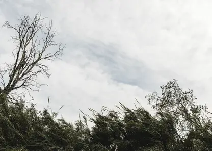 Сильный ветер обещают в Красноярском крае 9 апреля