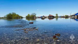 В Омской области затоплено около 550 жилых домов