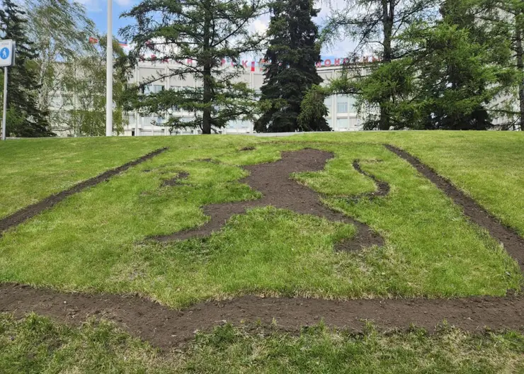 В Красноярске яркими цветами украсят склон на остановке «Театр оперы и балета»