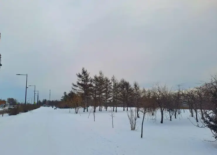 Ветер и снег. Прогноз погоды на 8 февраля в Красноярске