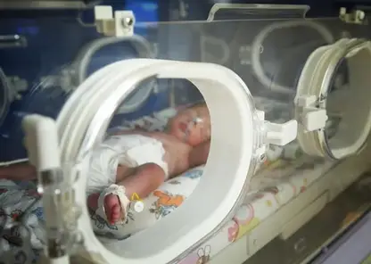 24 двойни родилось в Красноярском перинатальном центре в мае