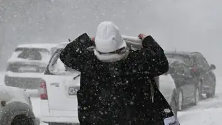 Жителей севера Красноярского края предупредили о сильном ветре