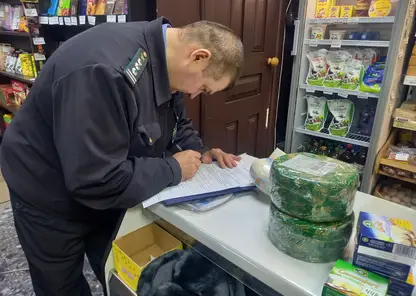 В Хакасии специалисты Россельхознадзора уничтожили санкционный сыр