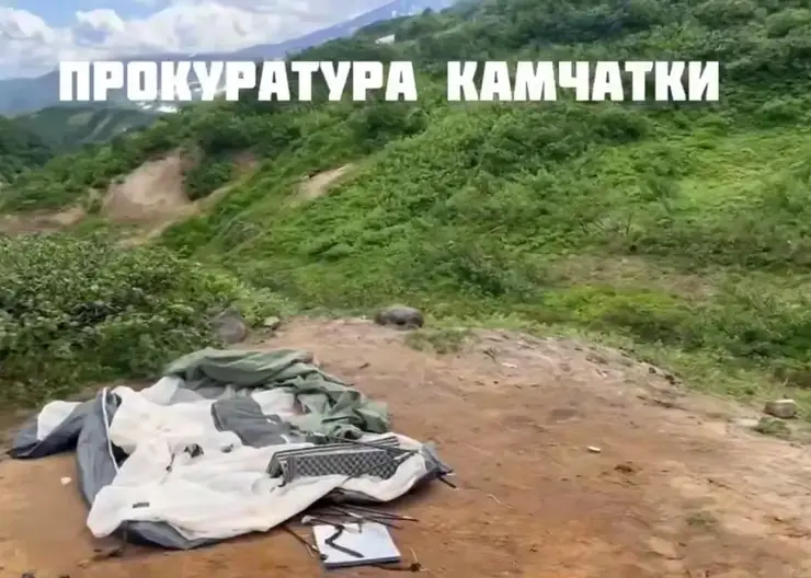 На Камчатке медведь напал на спящую туристку у Мутновского вулкана