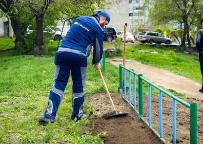 За май в Красноярске привели в порядок 210 участков
