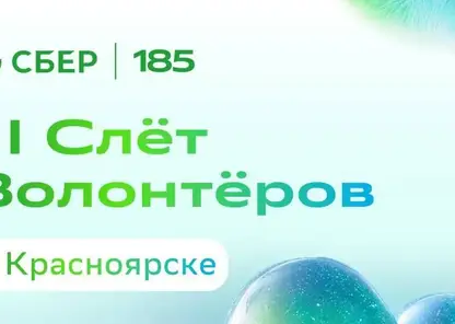 700 участников соберёт Сбер на Всероссийский слёт волонтёров в Красноярске