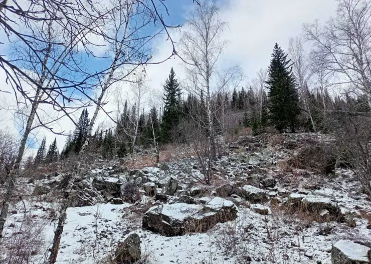 Вблизи Красноярска на заповедных территориях выявили нарушителей