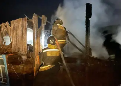 Пожарные вытащили коров и коз из огня в Красноярском крае