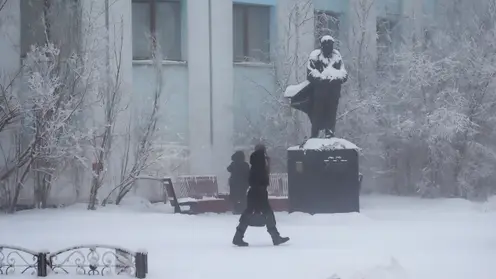 Жительница Хабаровского края замерзла насмерть по пути на работу