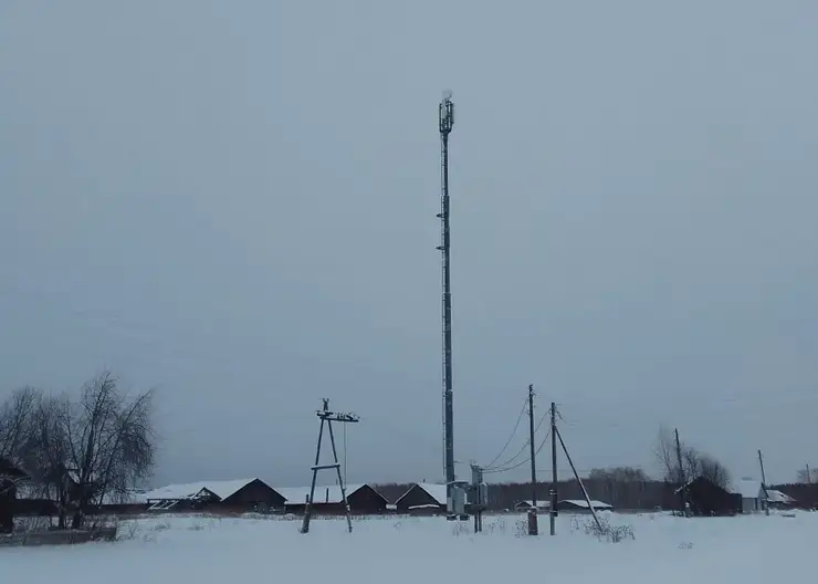 Больше 13 тыс. жителей Красноярского края подключили к мобильному интернету в 2025 году