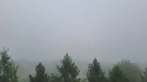 Туман и дождь прогнозируют в Красноярске 12 сентября