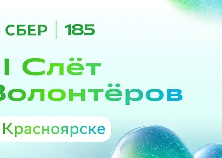 700 участников соберёт Сбер на Всероссийский слёт волонтёров в Красноярске
