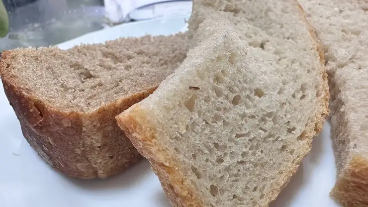 Школьникам подали в столовой зараженный хлеб с насекомыми на Камчатке