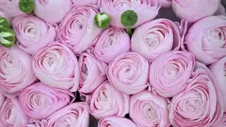 Красноярск вошел в десятку лидеров рейтинга миллионников по стоимости букета к 8 Марта