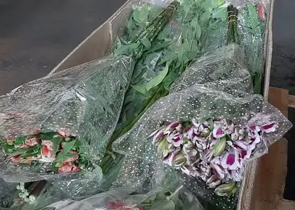 Тонну мяты и 20 тысяч цветов завезли в Красноярский край