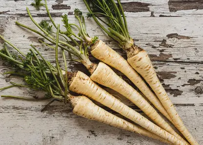 Как выбрать и хранить хрен: простые правила для максимальной пользы и остроты