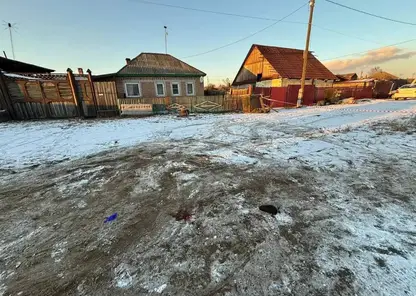 Овчарка напала на девочку в хакасском Черногорске: ее хозяйке назначили исправительные работы