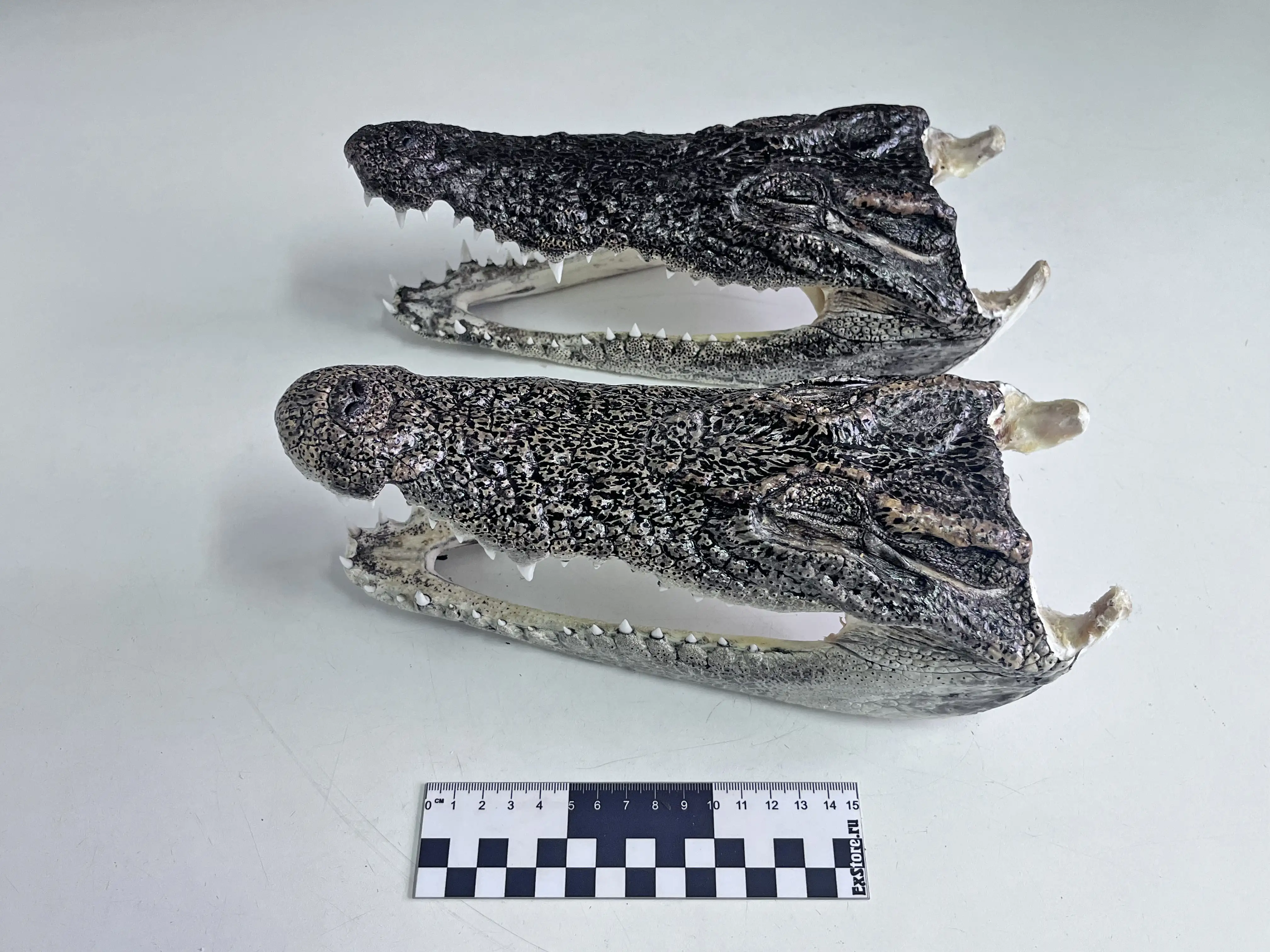 Фото: stu.customs.gov.ru