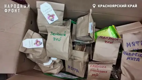 Гуманитарную помощь из Красноярска отправили бойцам СВО в ДНР