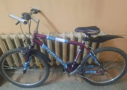 47-летний житель Минусинска украл у друга дорогостоящий велосипед, чтобы покатать жену