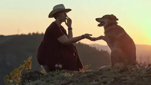 Первый пёс экоинспектор Хэппи из Красноярска поборется за победу в престижной всероссийской премии