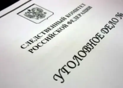 Снег и наледь обрушились с крыши на 16-летнюю девушку в Томске: возбуждено уголовное дело