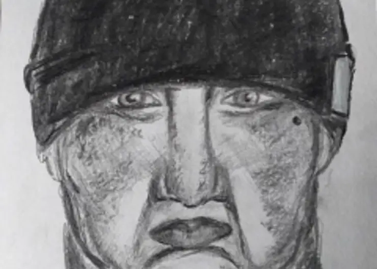 В Красноярске ищут напавшего на 7-летнюю девочку в Советском районе педофила