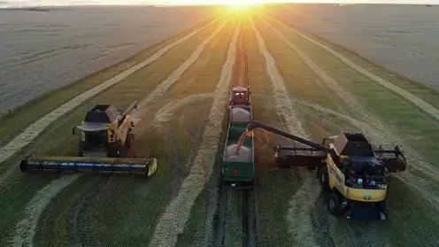 Красноярский край собрал свыше 2,5 млн тонн зерна — рекорд Сибири по урожайности