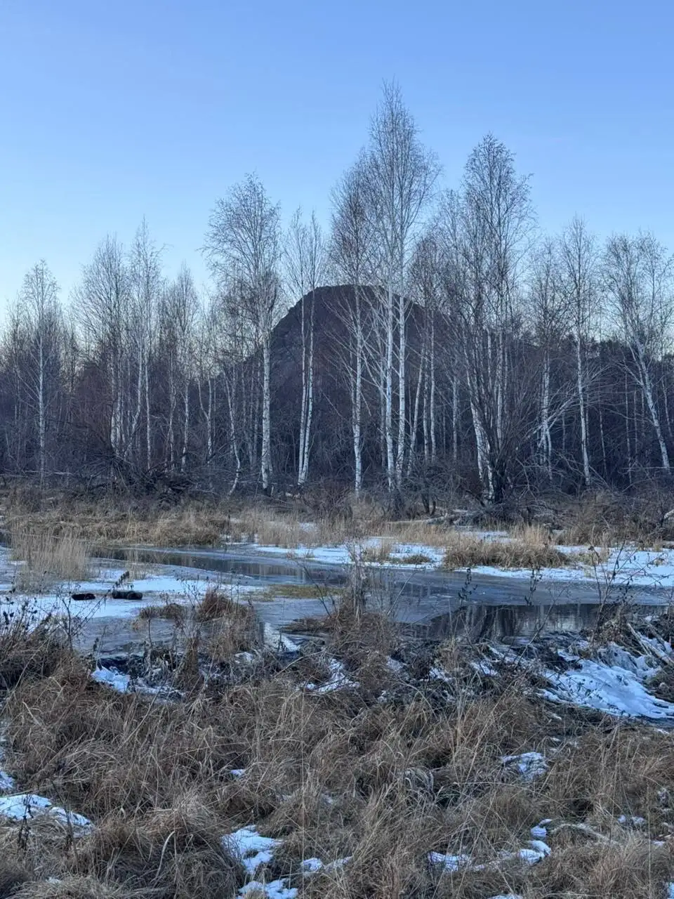 Фото: ГСУ СК России по Красноярскому краю и Республики Хакасия