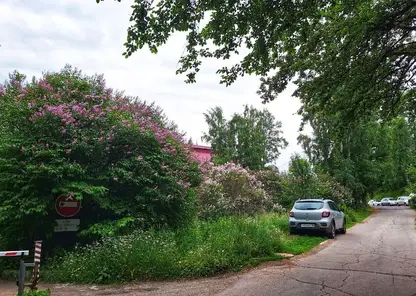 Кузбасские реалии поиска детей: мифы, ошибки и факторы, влияющие на успех