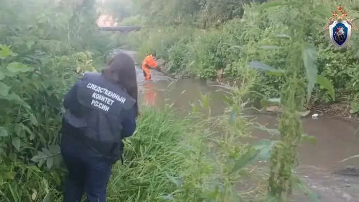 Красноярский сборщик мебели признался в убийстве и расчленении сожительницы. Подробности произошедшего