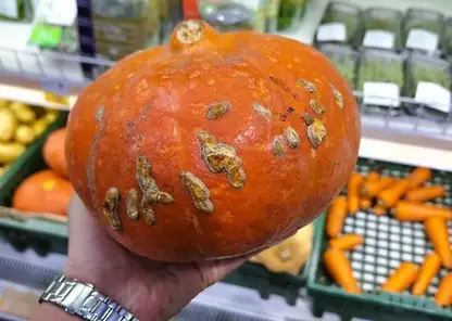 Повышает либидо: красноярцам рассказали, что будет с организмом, если есть тыкву