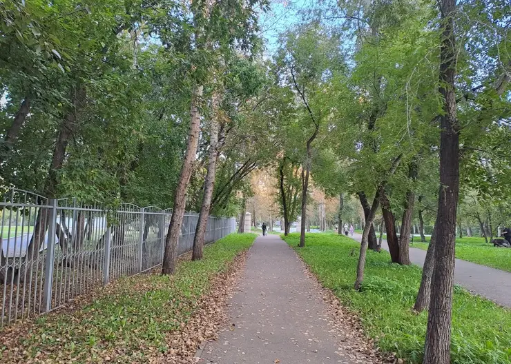 Дождливая и прохладная погода ждет красноярцев 14 сентября