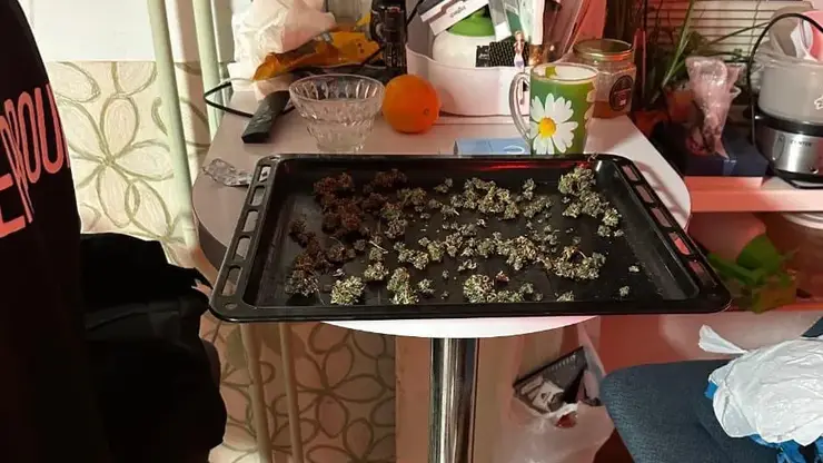 Задержаны двое красноярцев, пытавшихся организовать наркобизнес в квартире (видео)