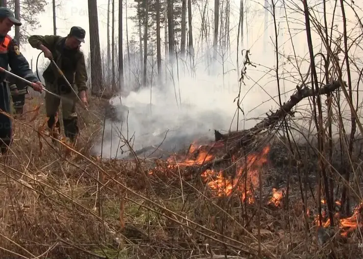 Восьми регионам Урала, Сибири и Дальнего Востока угрожают лесные пожары