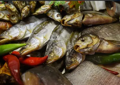 Томская область вошла в пятерку регионов России по заболеваемости описторхозом