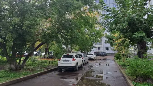 В Новосибирске мошенники под видом перевозчиков угоняли машины клиентов и продавали их по заниженным ценам