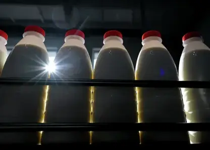 Роспотребнадзор оштрафовал красноярское предприятие за грубые нарушения при производстве молочной продукции