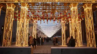 С 10 ноября улица Ленина в Новосибирске станет пешеходной