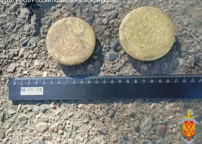 Более 30 килограммов золотосодержащего концентрата изъяли в Забайкалье
