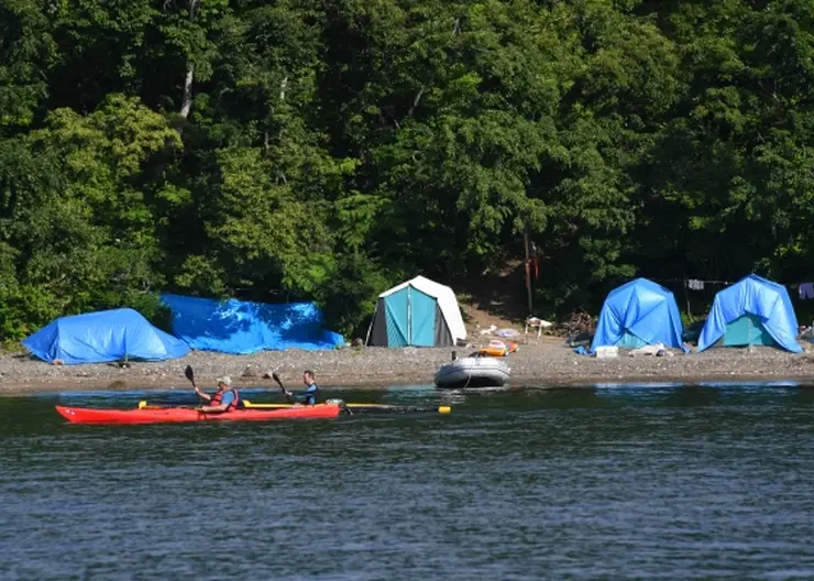 В Красноярском крае заработала горячая линия по вопросам инфекционных угроз за рубежом