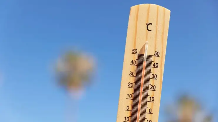 Последняя неделя июня для красноярцев выдастся жаркой. Температура будет зашкаливать за 30 градусов