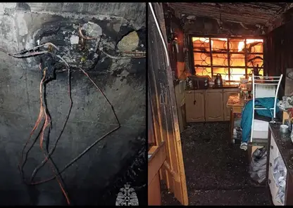 Женщина спасла 3-летнюю внучку из горящего дома в Иркутской области