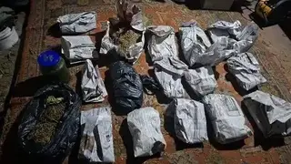 Почти полтора кило марихуаны изъяли полицейские в Минусинском округе Красноярского края