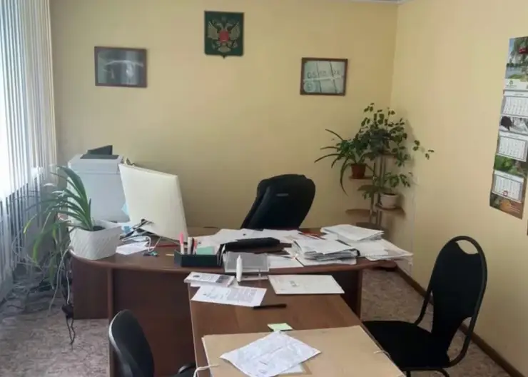 В Березовке возбуждено уголовное дело против главы лесничества за нецелевое использование бюджетных средств