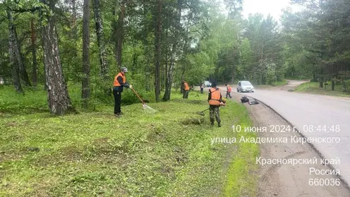 В Красноярске активно стригут газоны, они представляют опасность для горожан