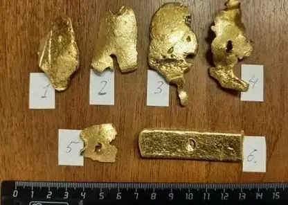 Золотые слитки и украшения на четыре миллиона рублей обнаружили силовики в квартире у жителя Красноярского края