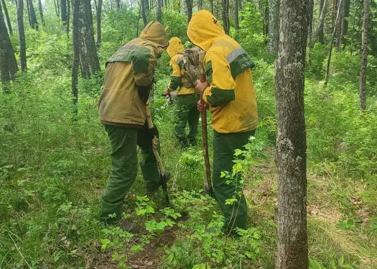 На тушение лесного пожара в окрестностях Дивногорска отправили ещё 30 лесных пожарных